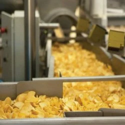 Food Food